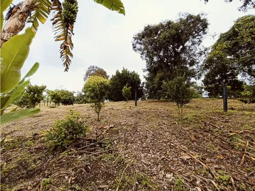 Se Venden Lotes En Quimbaya - Quindío