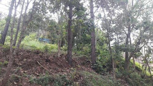 Imagem 18 de 21 de Terreno Em Parque Rizzo Ii, Cotia/sp De 1380m² À Venda Por R$ 160.000,00 - Te463143-s
