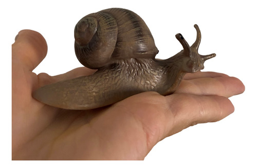 Figura Decorativa Caracol