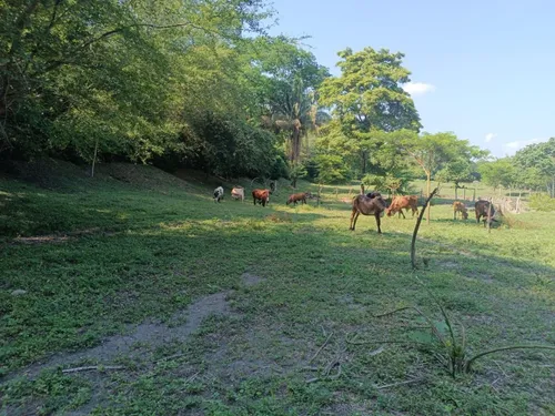 Espectacular Finca