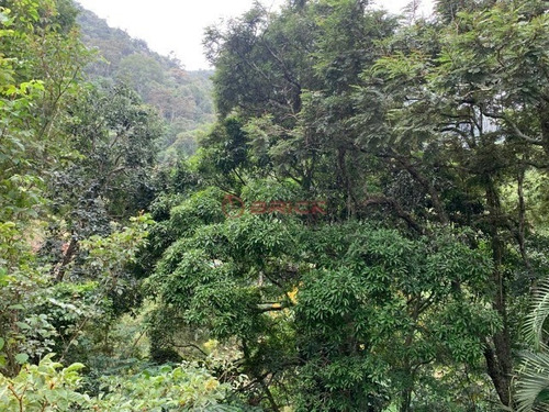 Imagem 28 de 30 de Maravilhosa Casa Com 3 Suítes Em Itaipava - Ca01344 - 34894254