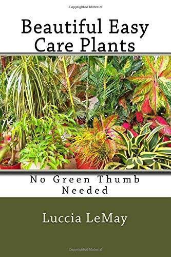 Beautiful Easy Care Plants No Green Thumb Needed