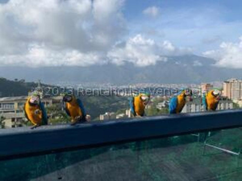 #23-20934 Extraordinaria, Imponente, Inigualable Casa En Los Naranjos Del Cafetal