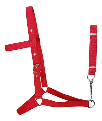 Cabresto De Cavalo Fita Comum