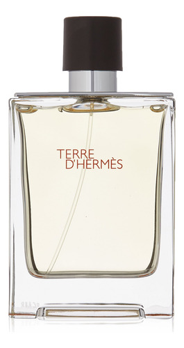 Perfume Hermes Terre D'hermes Eau De Toilette 100ml Para Hom