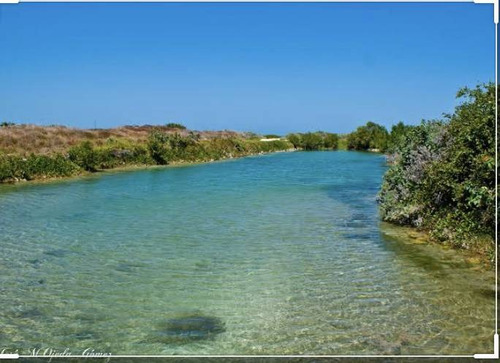 Imagen 29 de 29 de Lotes Plus En Lujoso Complejo Residencial Y Club De Playa Privado En Sisal !!