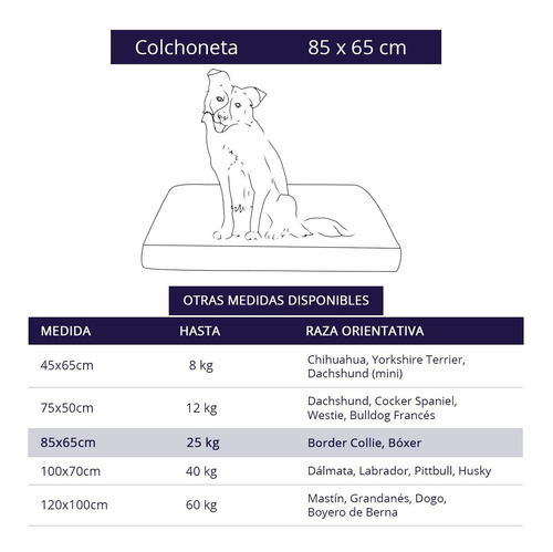 Imagen 5 de 7 de Cama Colchoneta Para Perros Lola Pets Antidesgarro 85x65 Cm