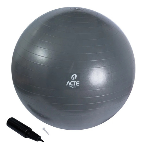 Gym Ball Bola Pilates Suiça 75cm T9-75 Acte Sports Cinza