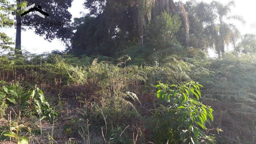Imagem 7 de 15 de Ótimo Terreno Em Condomínio Fechado Em Caucaia Do Alto - Cotia - 294