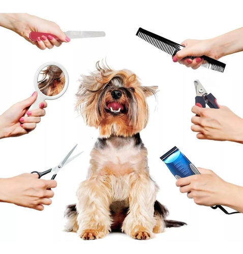 Imagen 6 de 7 de Maquina Cortar Pelo Perros Cortadora Canina + Accesorios !!