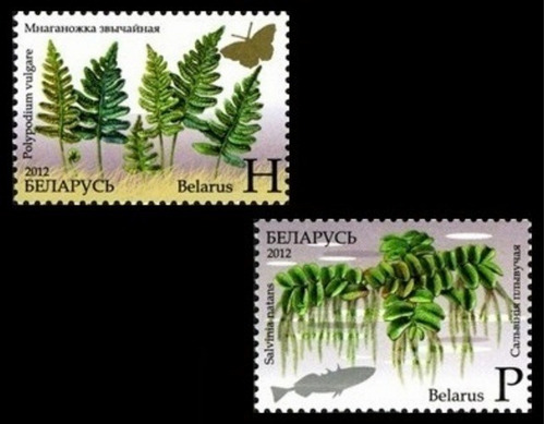 Flora - Plantas - Bielorrusia - Serie Mint 