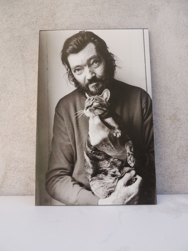 Cuadros Modernos - Julio Cortazar Y El Gato - 27x42cm