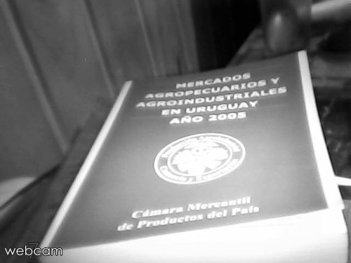 Mercados Agropecuarios Y Agroindustriales En Uruguay 2005