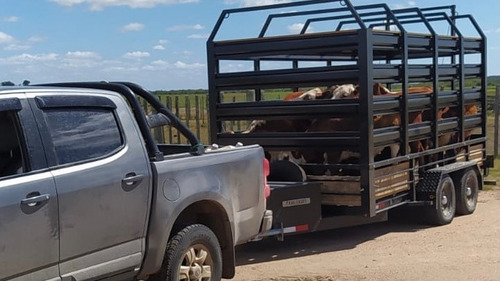 Trailer Ganadero Para Ganado Caballos Desmontable Tractor