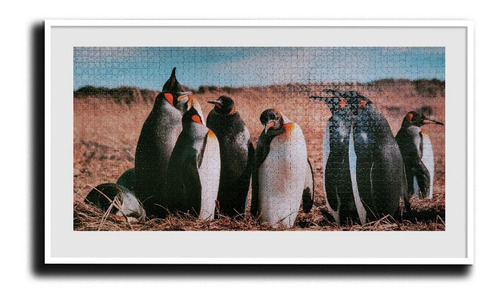 Imagen 4 de 4 de Puzzle 2.000 Piezas Animales: Pingüino Fauna Chilena