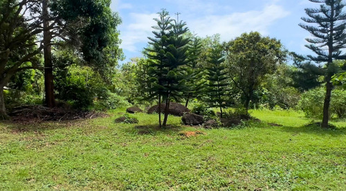 Finca De 887 Tareas En República Dominicana