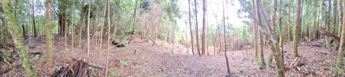 Terreno En Polincay Pto Montt, Conecta Con La Naturaleza