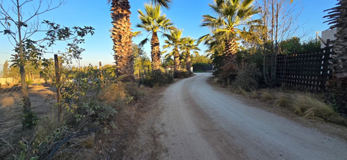 Callejón Las Gaviotas, A 7k De Rotonda Concón
