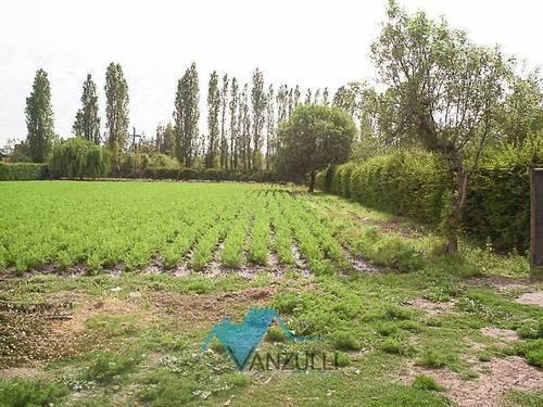Imagen 4 de 15 de Chicureo Poniente