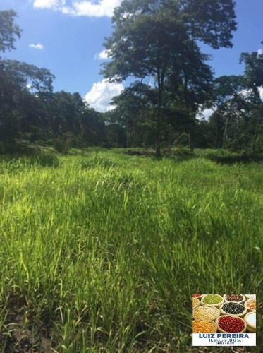 Imagem 4 de 9 de Fazenda À Venda Em Recursolândia -t0 - 3998 Hectares (dupla Aaptidão) - 1592