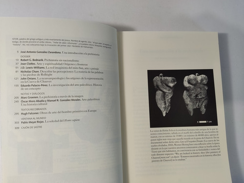 Libro Historia De La Prehistoria Istor Cide 175m6 (Usado)