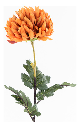 Roxa Flower Orange