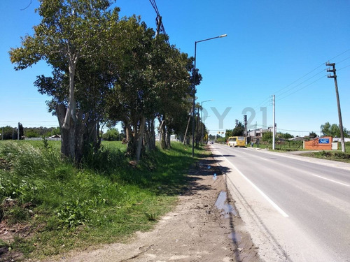 Imagen 6 de 8 de Lote En Venta En La Plata