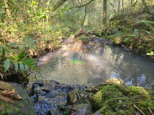 Imagen 20 de 23 de Campo Turístico 38 Hás En Zanja Del Tigre