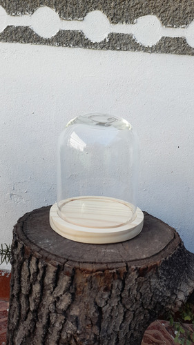 Cúpula De Vidrio Decorativa Para Centro De Mesa Chico