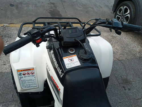 Imagen 10 de 15 de Kawasaki Bayou