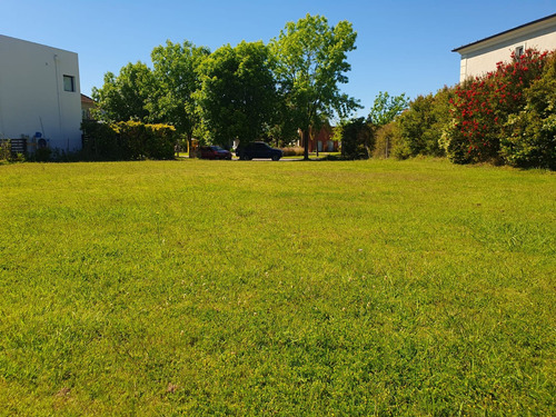 Venta Lote En San Isidro Labrador, Villanueva