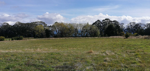 Con Vista Y Potencial Comercial (103534)