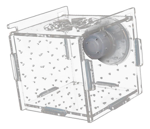 Caja De Cría De Peces De Acuario, Suministro De 6cmx6cmx6cm