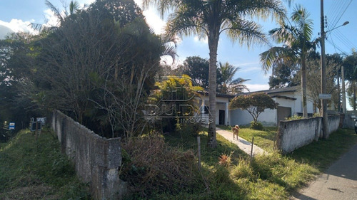 Imagem 5 de 6 de Terreno - Naspoline - Ref: 34818 - V-34815