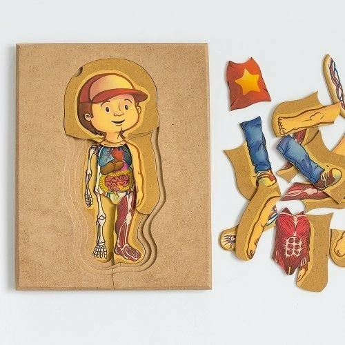 Rompecabezas 5 Capas Cuerpo Humano Para Niños - Manick
