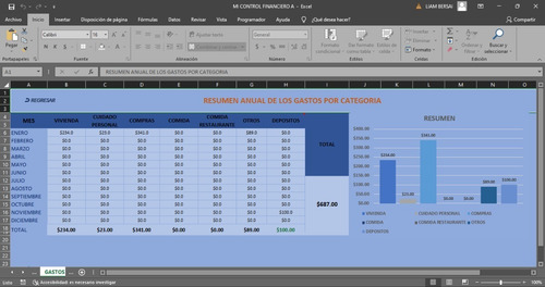 Plantilla Control De Gastos E Ingresos