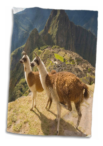 3d Rose Llamas-machu Picchu-ruinas Antiguas-perú-sa17 Hga002