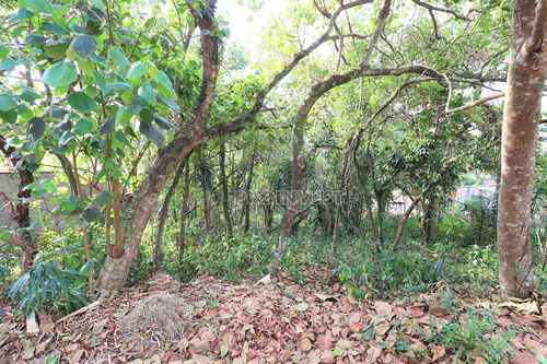 Imagem 10 de 30 de Terreno À Venda, 1187 M² Por R$ 910.000,00 - Palos Verdes - Carapicuíba/sp - T06580