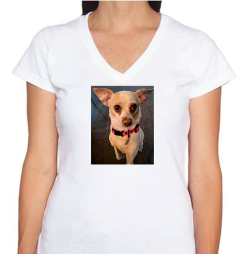 Playera Diseño Perrita - Cuello V - Dog Lover - Perros