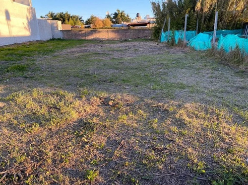 Imagen 2 de 4 de Lote En Magdalena, 8.20x32