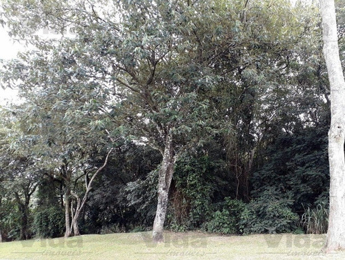 Imagem 3 de 5 de Terreno Para Venda, 412.0m² - 32767