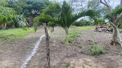 Terreno en venta