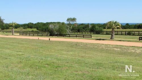 Terreno En Venta En Las Garzas.