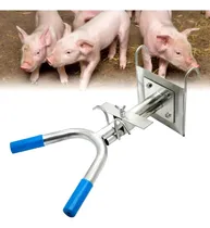 Comprar Estante Soporte Para Manejo De Lechón Cerdo Inoxidable