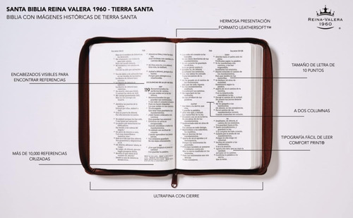Biblia Rvr60: Letra Grande, Imágenes De Tierra Santa, Café