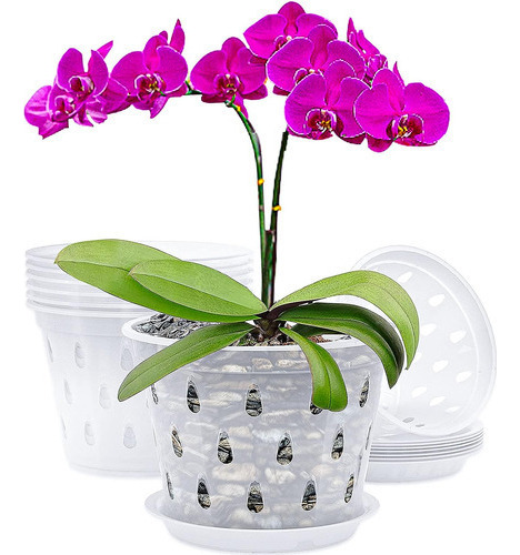 Kit De 5 Macetas Rígidas Transparentes - Orquídeas