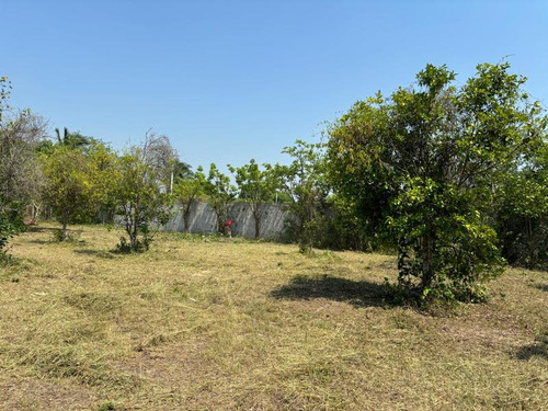 Venta Terreno 3000 M² Juana Moza Frente Al Rio Tuxpan Veracruz
