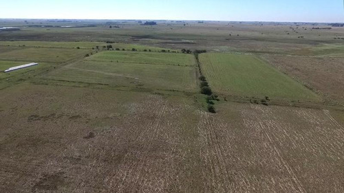 Imagen 2 de 16 de 360 Has Campo Mixto En Venta, Magdalena. Ex Tambo 80 % Agrícola.
