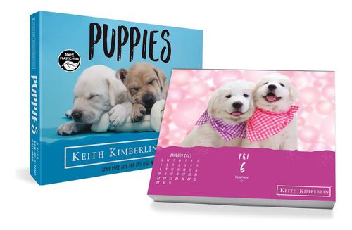 Libro: Caja Del Día A La Vez Para Cachorros De Keith Kimberl