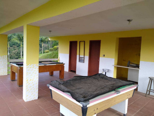 Imagem 9 de 14 de Vende-se Lindo Sítio Em Juquitiba!!!